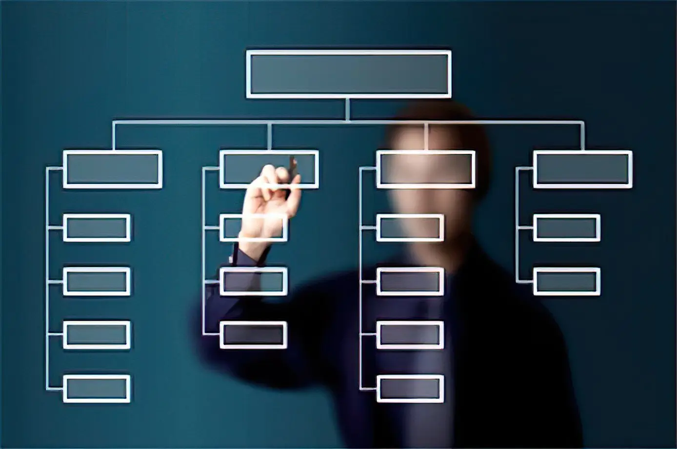 Organization