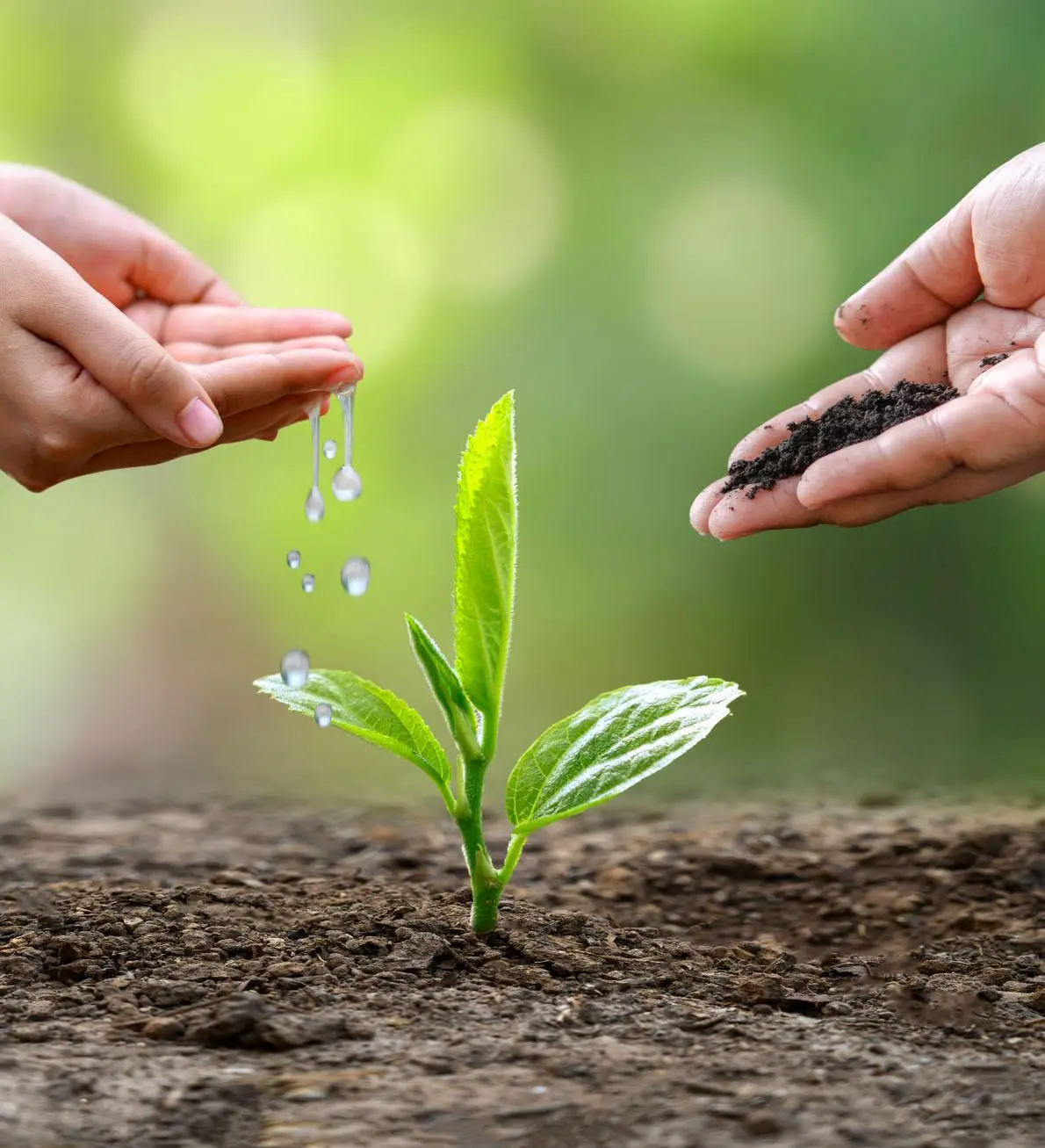 Giải Pháp Môi Trường